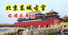 操屌网中国北京-东城古宫旅游风景区